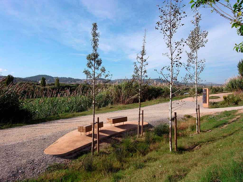 camino de acceso al río Llobregat