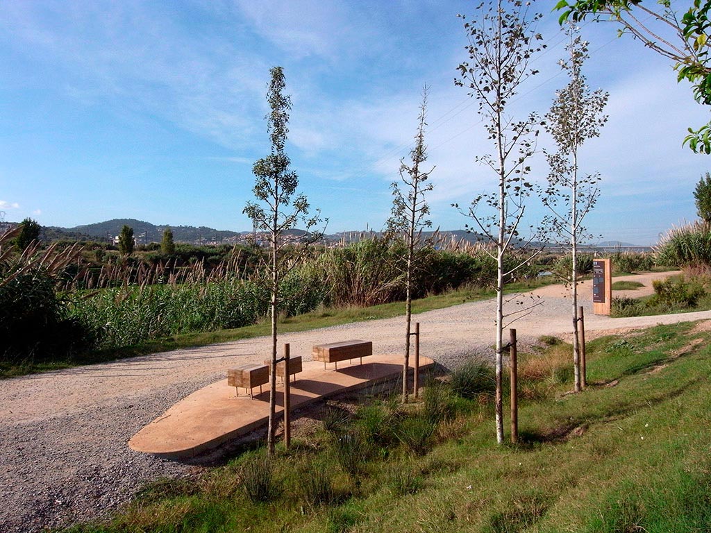 Camino de acceso al río Llobregat, Sant Feliu