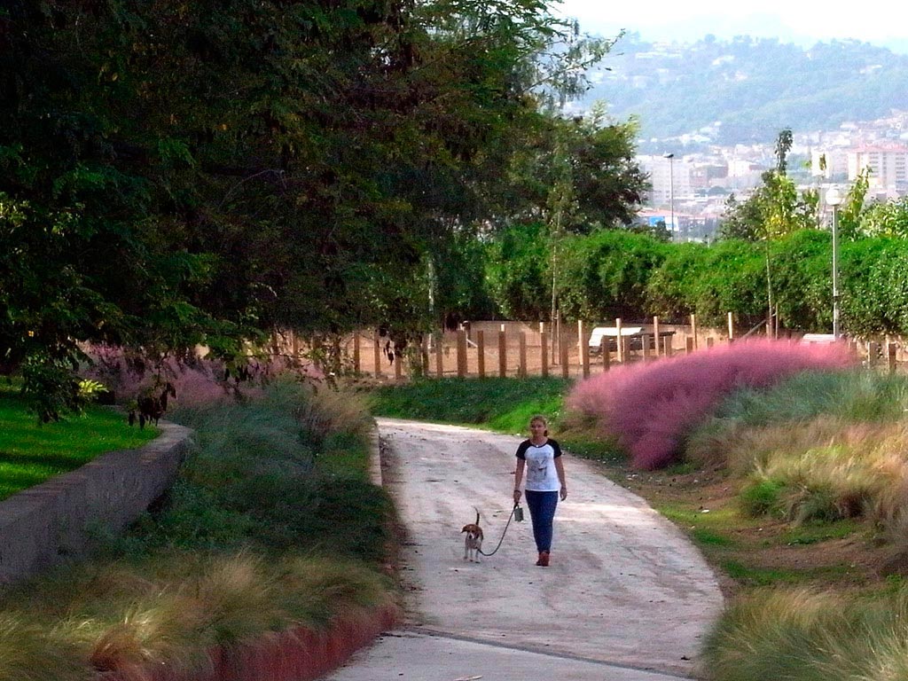 Camino de acceso al río Llobregat, Sant Feliu