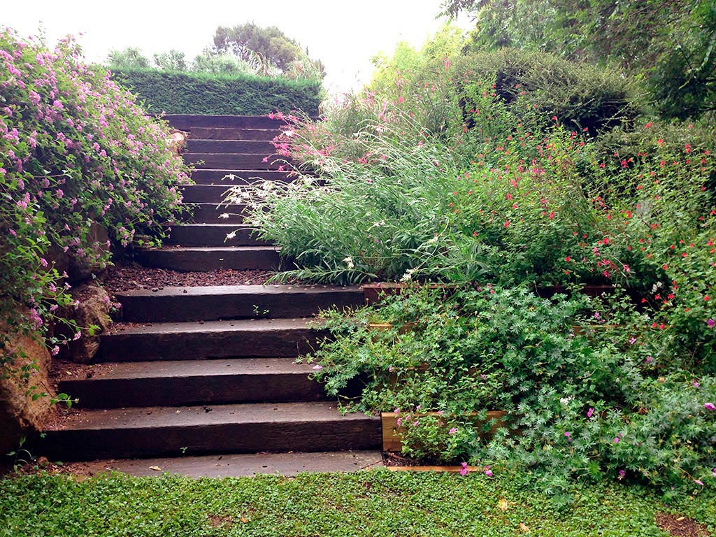 escalera de madera con vegetación, Matadepera