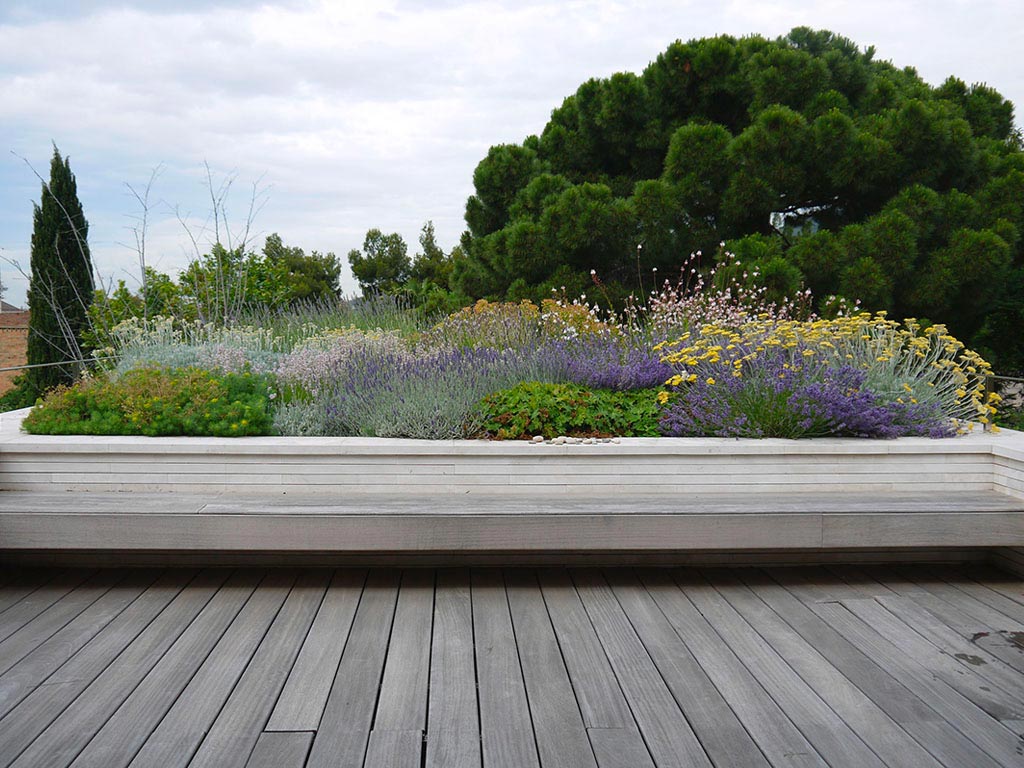 plantación de aromáticas en un jardín en Sarrià, Barcelona